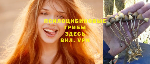 прущий лед Богородицк