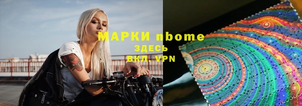 прущие грибы Балабаново