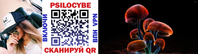 Галлюциногенные грибы ЛСД Гай