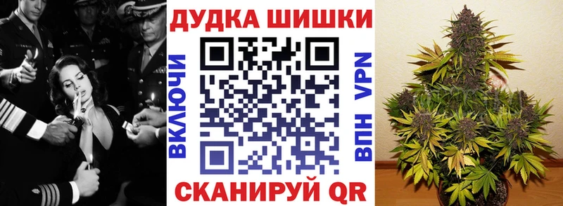 что такое наркотик Гай Канабис сатива